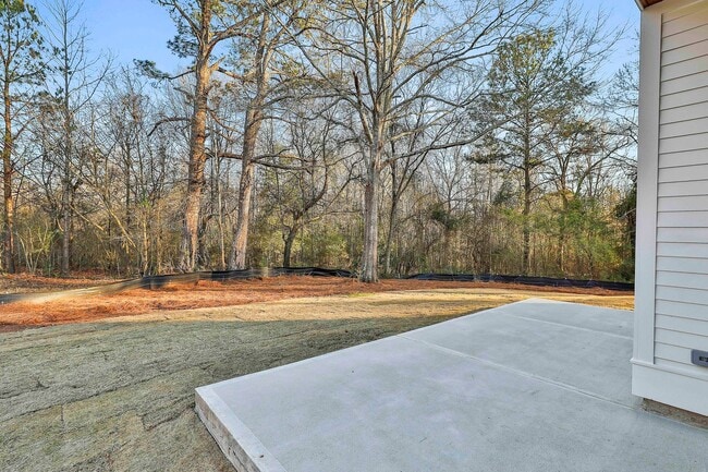 Building Photo - New Construction Rental WALKABLE to Downtown Senoia!