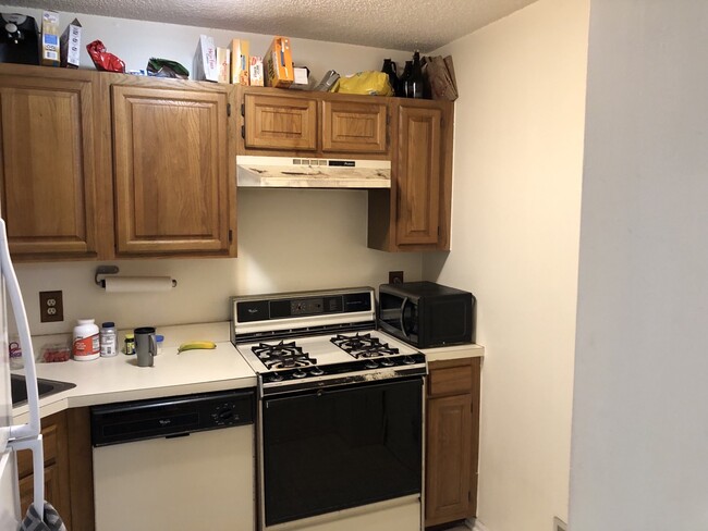 Primary Photo - 1243 Mulberry Dr