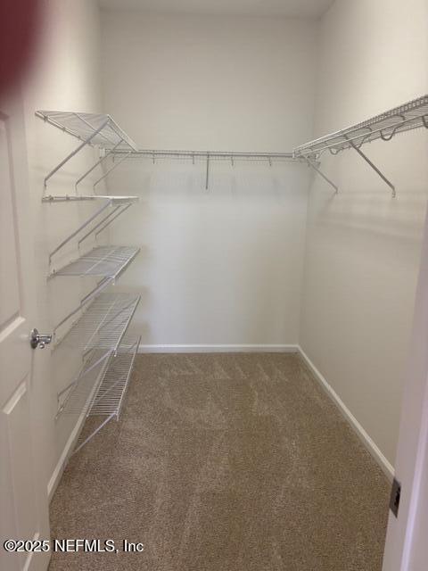 Building Photo - 11251 Campfield Dr