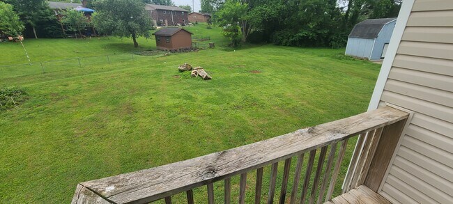 Backyard - 7709 Carraway Cir
