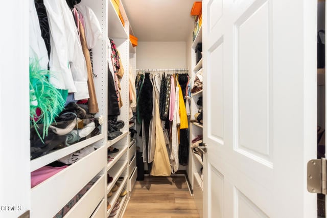 Building Photo - 3623 St Elizabeth Rd