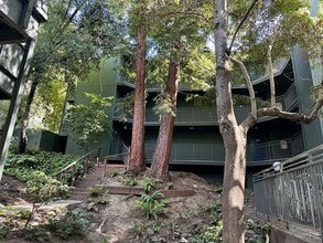 Building Photo - Bright Furnished 1BD/1BA Near UC Berkeley – Quiet, Updated & Move-In Ready