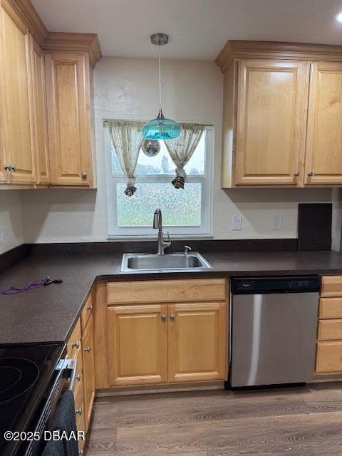 Building Photo - 168 Sweetgum Ln