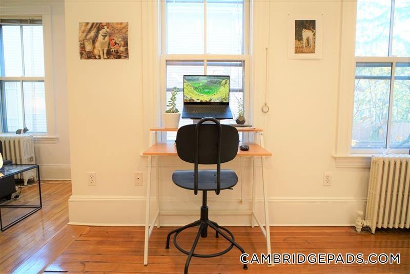 Building Photo - 28 Healey St