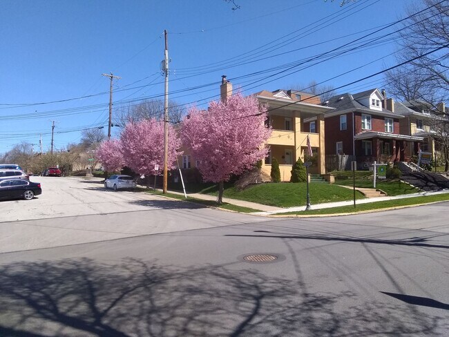 Primary Photo - Beautifully Rehabbed Central Oakmont apart...