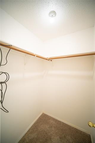 Building Photo - 4500 Shady Hollow Dr
