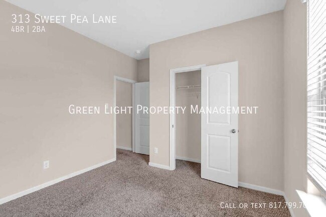 Building Photo - 313 Sweet Pea Ln
