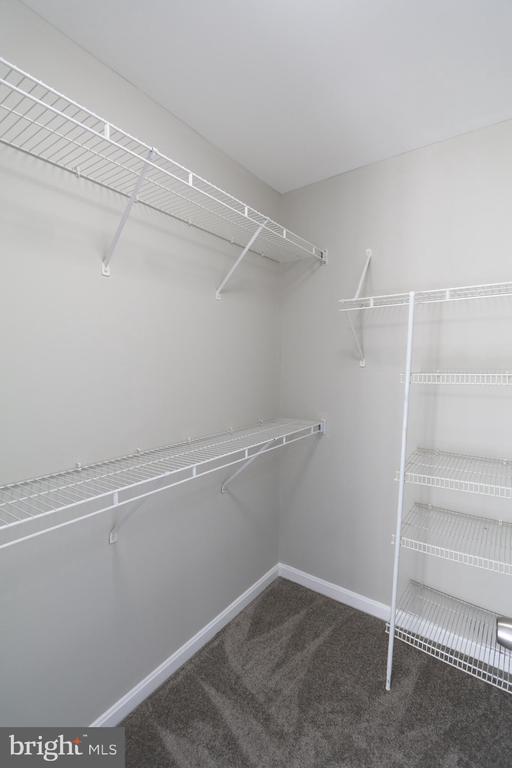 Building Photo - 11206 Barnswallow Pl