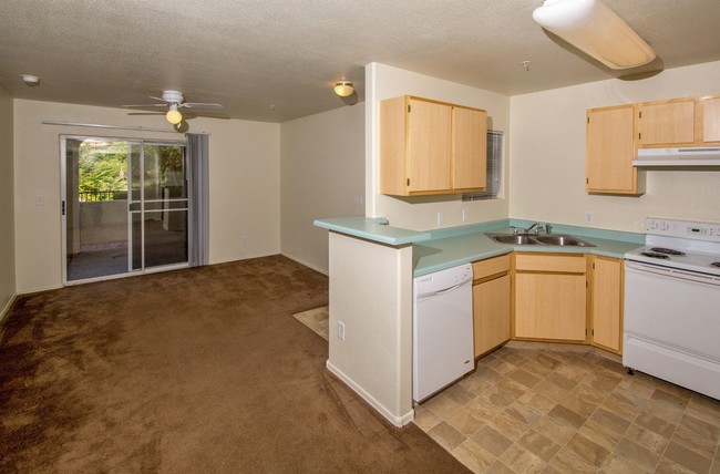 1 Bedroom Living Room & Kitchen - Sagewood Apartments