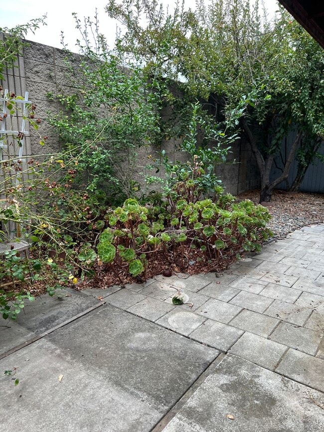 Building Photo - Available now! South Davis Townhome On Ver...