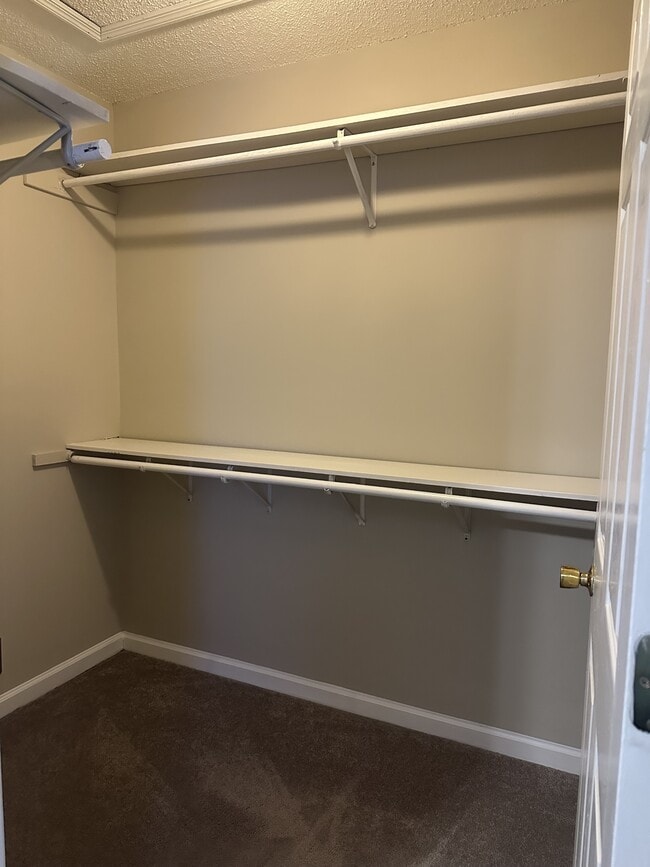 Building Photo - 1428 Central Ln