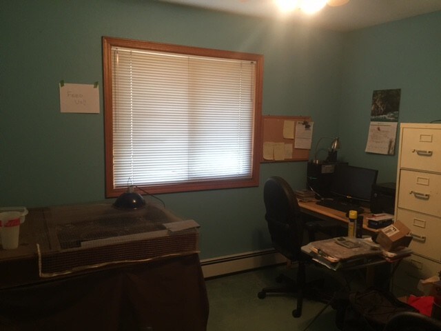 Building Photo - 812 E Saguaro St