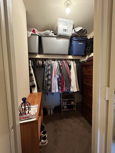 Large closet - 310 Hampton Ct