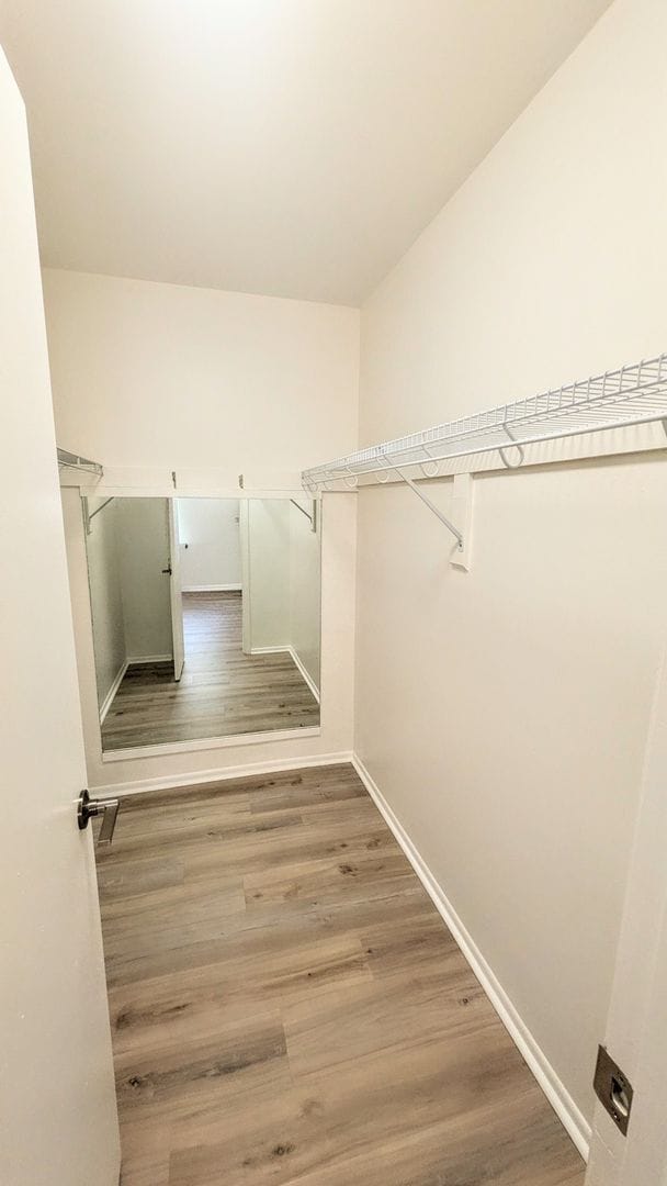 Building Photo - Annual fully remodeled unfurnished spacious 3/2 duplex in Bradenton.