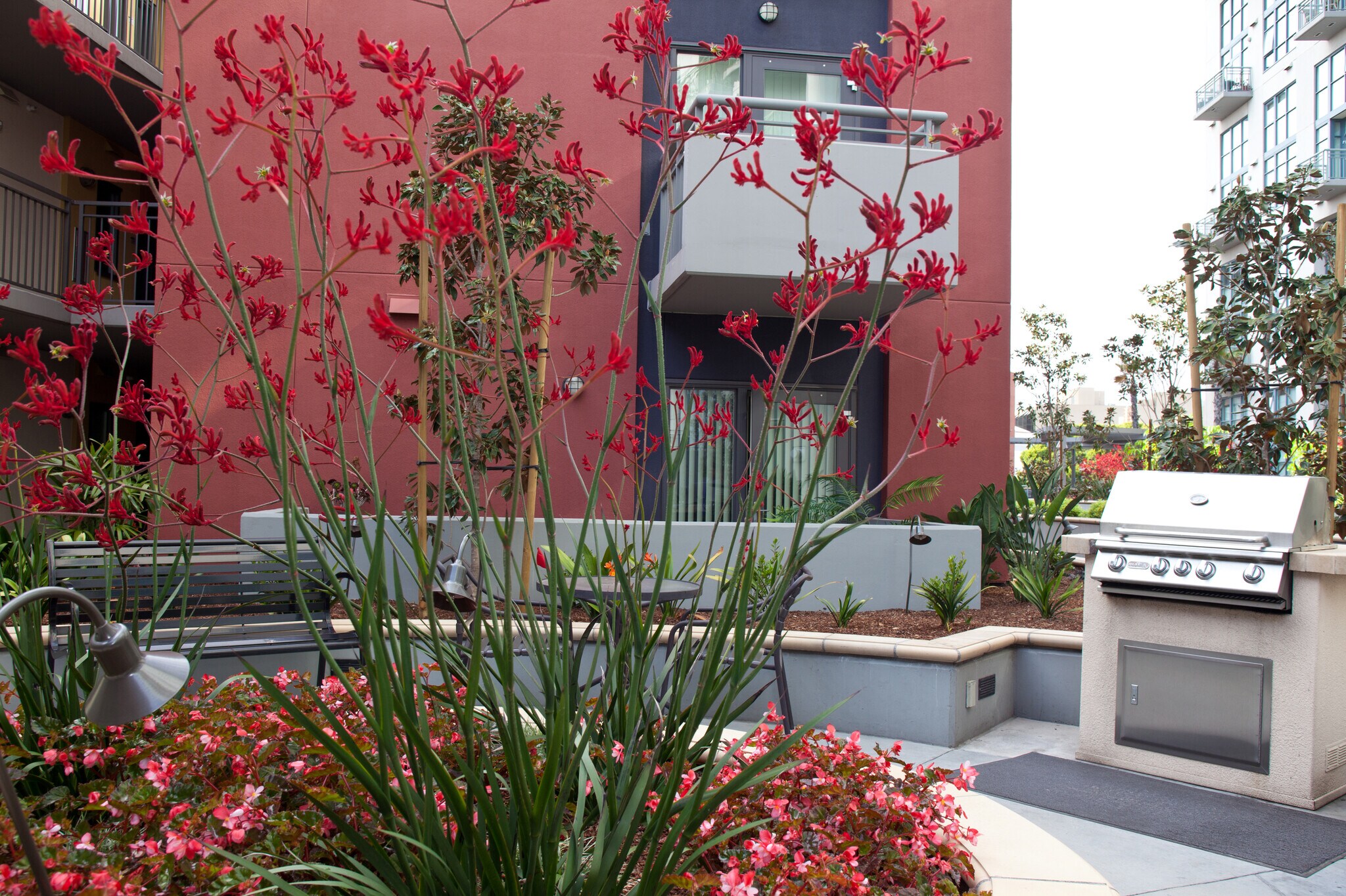 Building Photo - 1240 India St