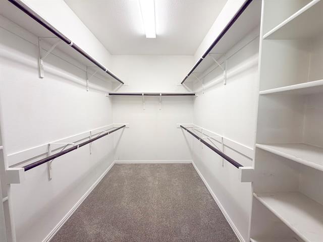 Building Photo - 4304 Salado Crk Wy