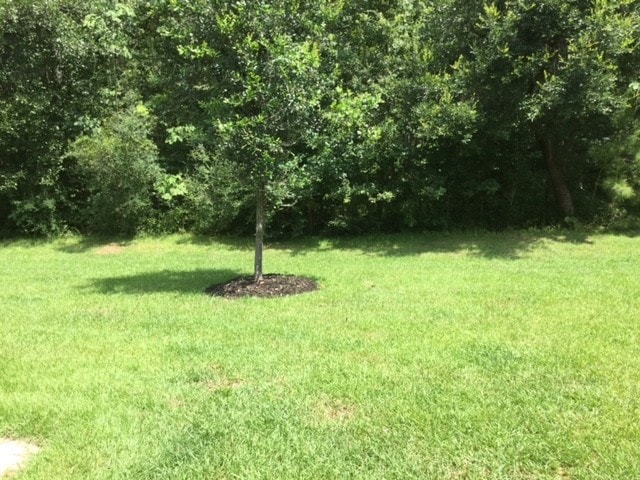 Building Photo - 5455 Kings River Dr