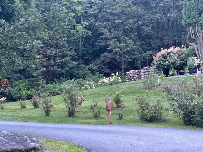 Building Photo - 35 Mill Pond Rd