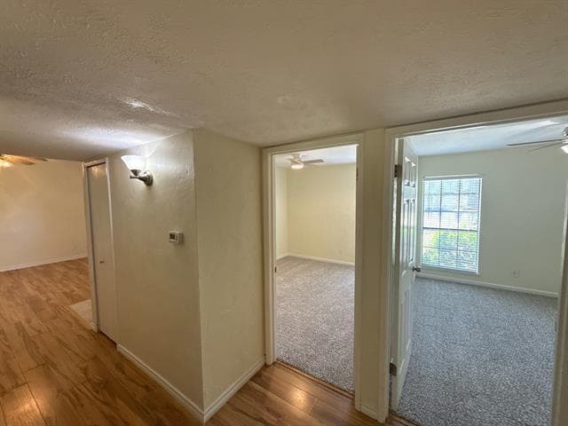 Building Photo - 1312 Timberview Dr
