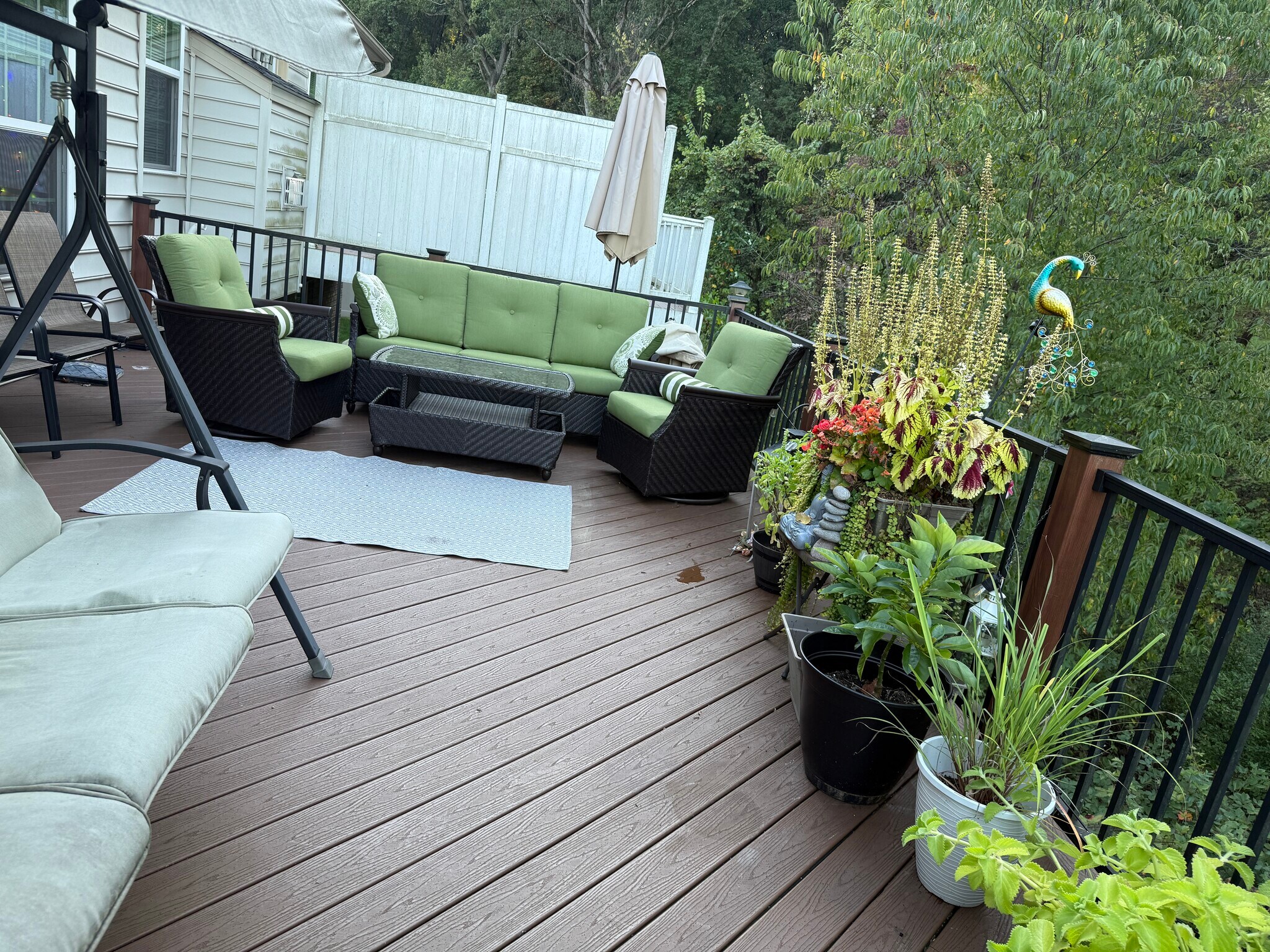 Deck - 624 Edison Dr