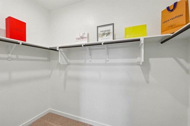 Building Photo - 113 Cutleaf Cv