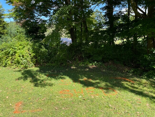 Yard - 303 Skinner Ln