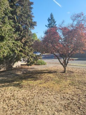 Building Photo - 3416 NE 80th St