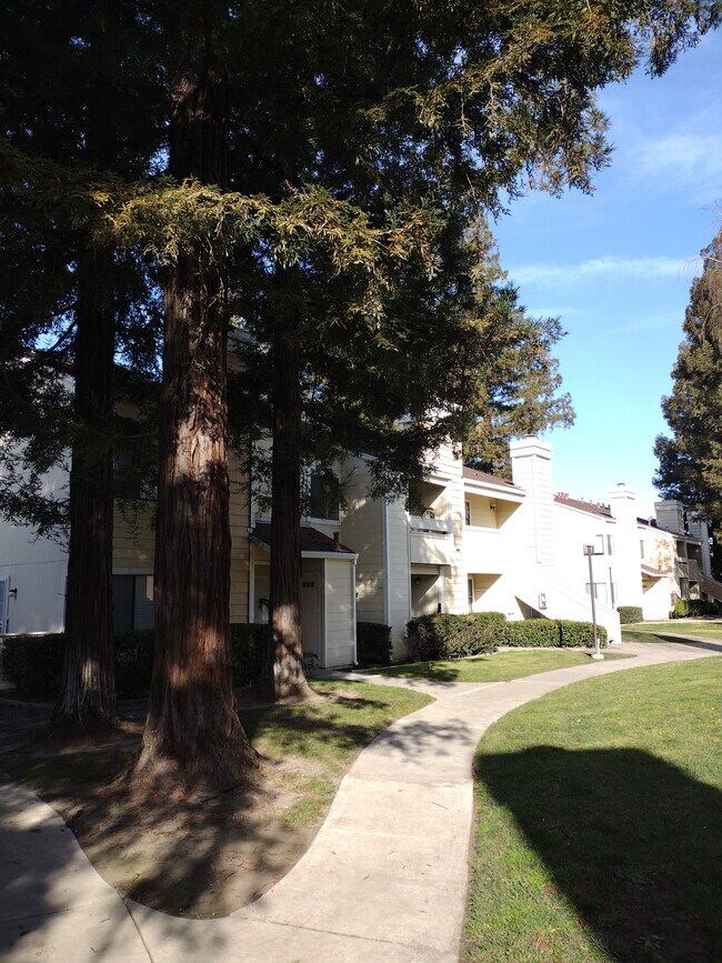 Building Photo - 1699 Pyrenees Ave