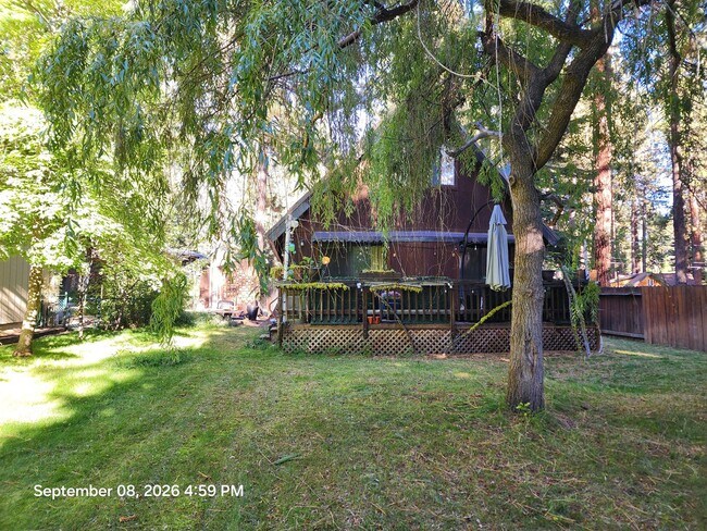 Building Photo - 493 Brassie Ave