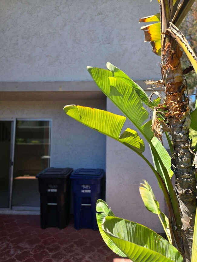 Building Photo - Spacious 3-bed, 2-bath condo is located in the heart of UTC, right on the UCSD bus line! It featu...