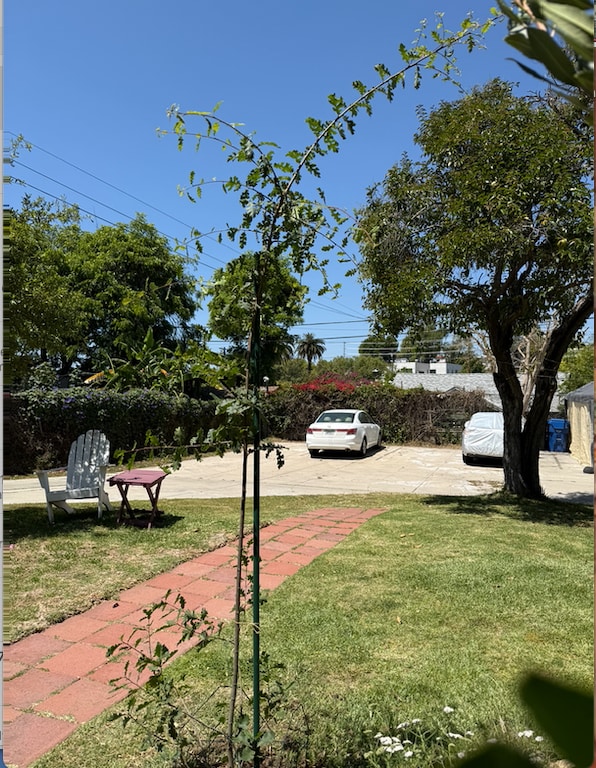 Parking - 1011 1/2 N Coronado St