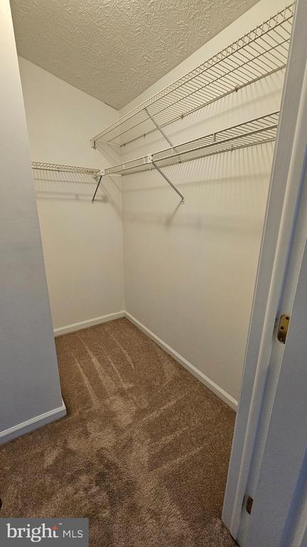 Building Photo - 1196 Swanhill Ct