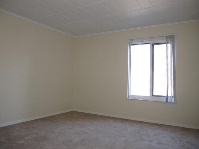 Building Photo - TRENT 557