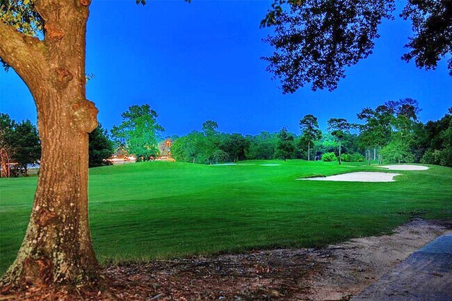 Building Photo - 70 N Skyflower Ct