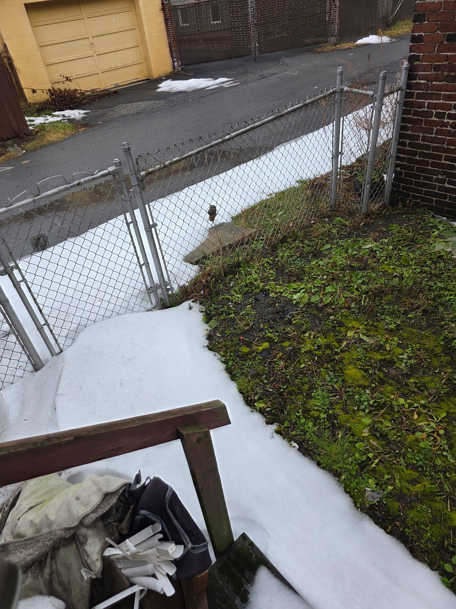 Fence in backyard - 33 Fleetwood St