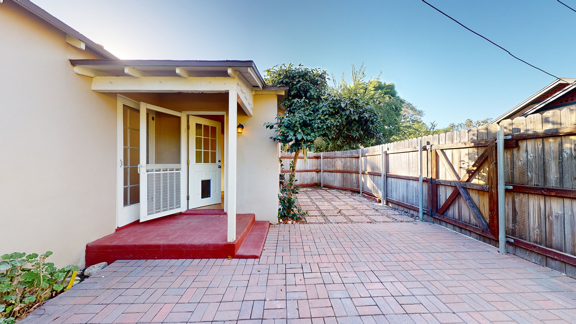 Back Yard - 587 Prescott St