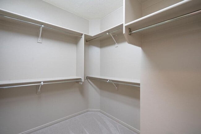Building Photo - Bright & Beautiful 2 Bedroom Home in Sun R...