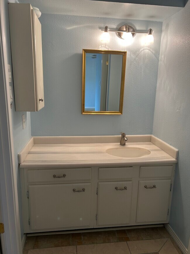 Vanity - 116 Cambridge Place Dr