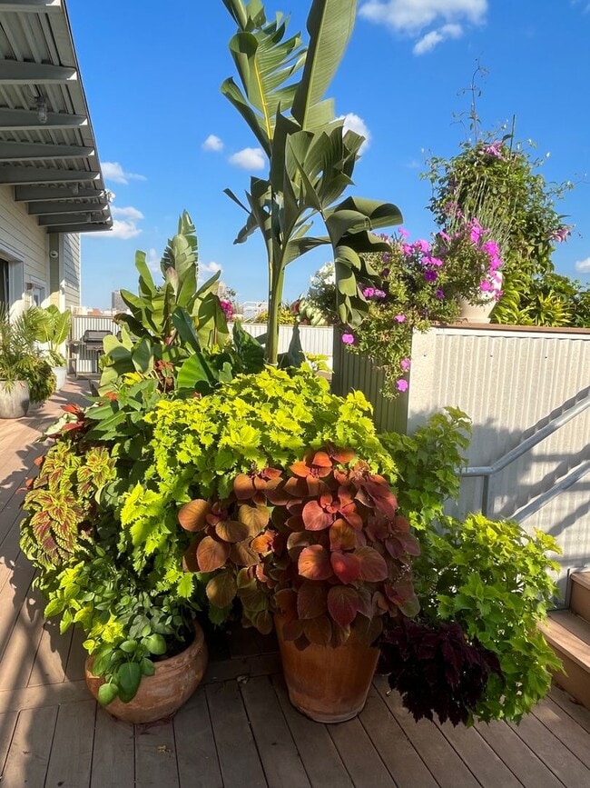 Building Photo - Beautiful 2-bedroom loft with garage parking, and community room with swimming pool!