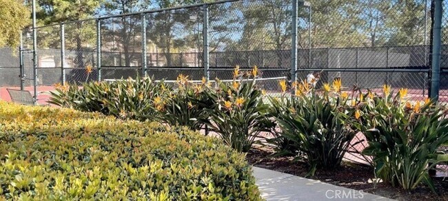 Building Photo - 46 Christamon W