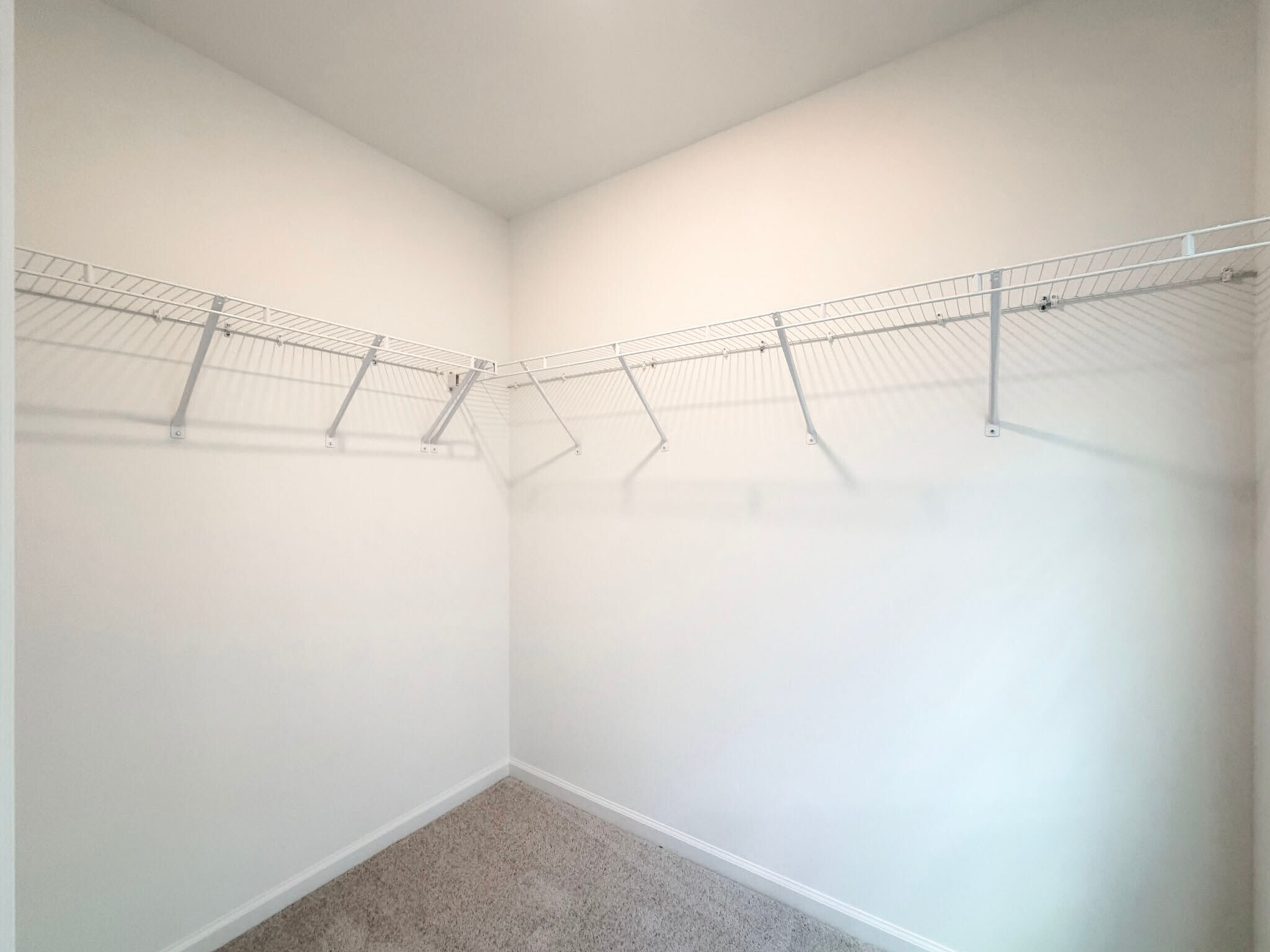 Building Photo - 3611 Elm Grove Ln