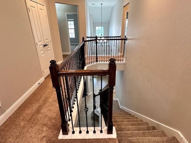 Building Photo - 26012 Bassfield Ln.