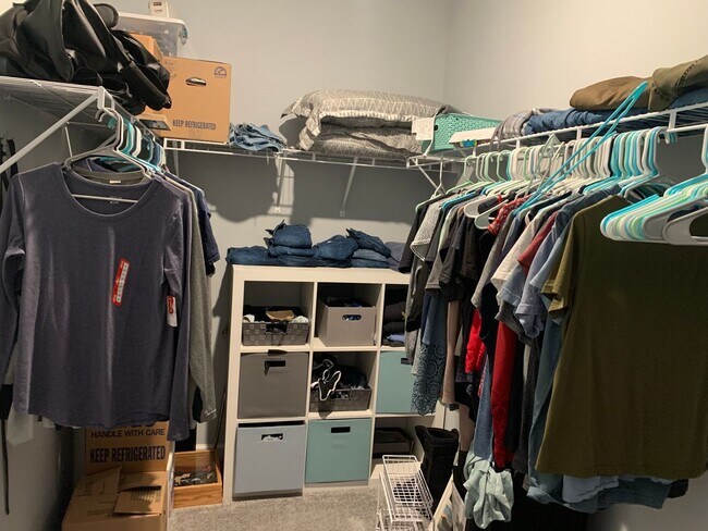 Building Photo - 153 Backfield Pl