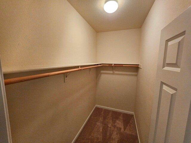 Building Photo - 920 Wilderness Way