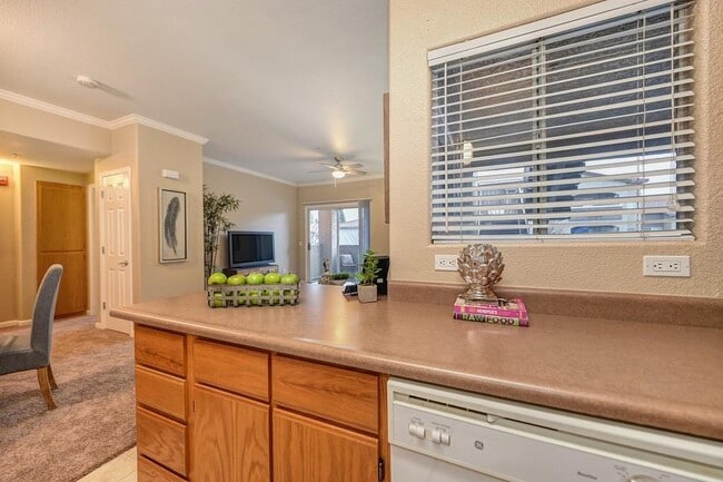 Building Photo - 10001 Woodcreek Oaks Blvd