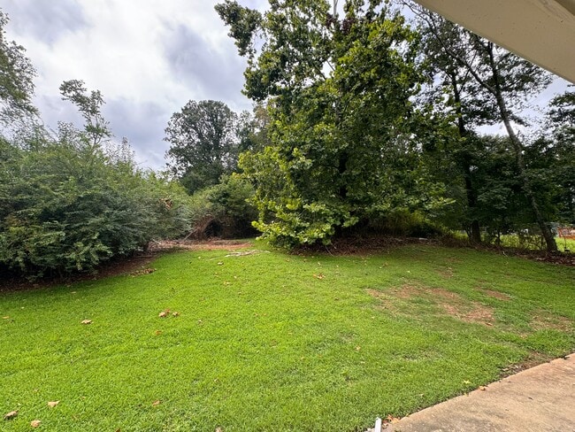 Building Photo - 3037 Summer Lake Dr