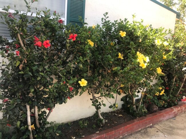 Building Photo - 5888 Grand Ave