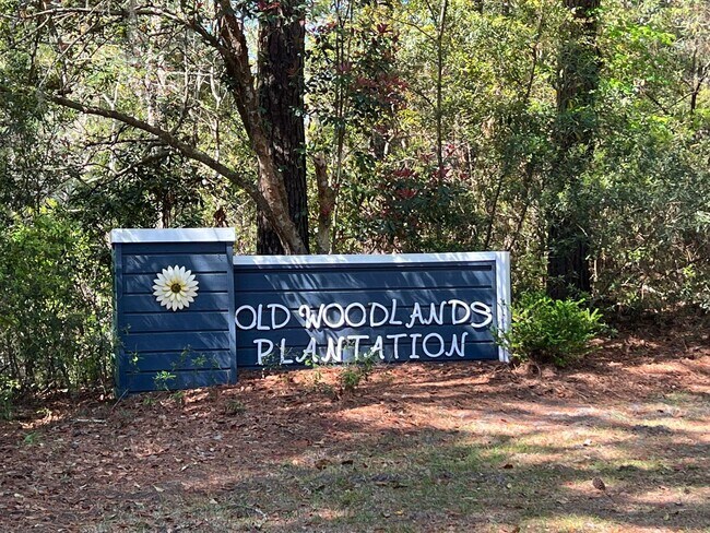 Building Photo - Updated Old Woodlands Plantation Home with Fenced Yard