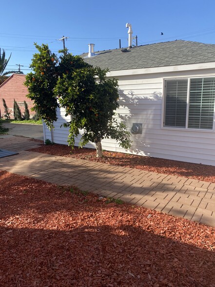 Walkway and Outside View of Cottage - 9020 Hillside St