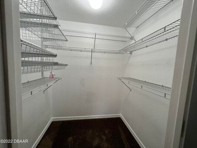 Building Photo - 100 Grey Widgeon Ct